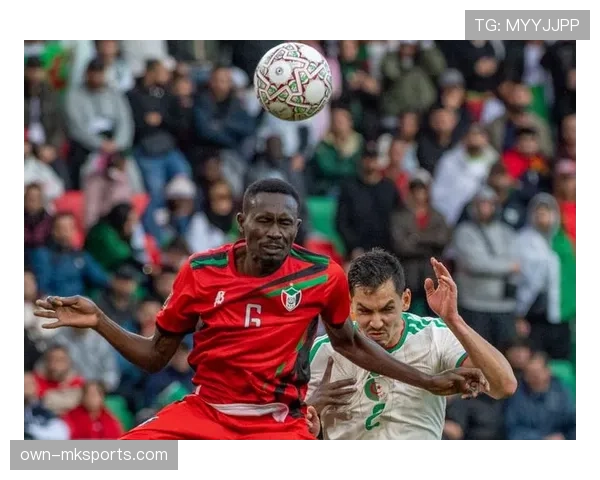 非洲足球发展计划赋能青年才俊，点燃大陆足球未来新希望