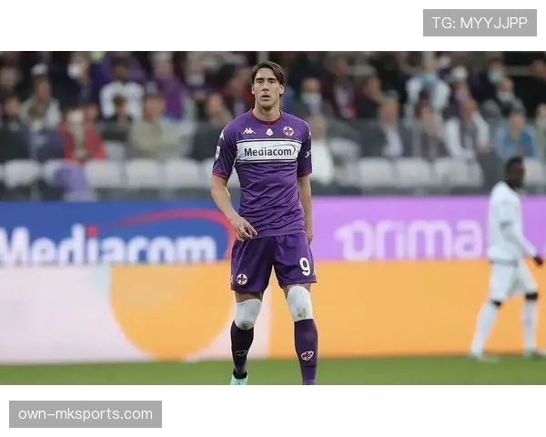 弗拉霍维奇作为锋线支点表现稳健 弗拉霍维奇作为锋线支点表现稳健